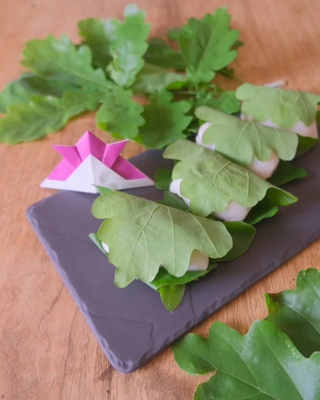 Kodomo no Hi 🎏

Le 5 mai, c’est Kodomo no Hi, la fête des enfants au Japon 🇯🇵
On célèbre leur bonne santé, leur croissance et leur bonheur.

Ce jour-là, on mange du Kashiwa-mochi : un mochi de riz gluant fourré à l’anko (pâte de haricots rouges sucrée )enveloppé dans une feuille de chêne japonaise (kashiwa).
Cette feuille symbolise la prospérité de la descendance : elle ne tombe qu’après l’apparition de nouvelles feuilles 🍃

J’utilise les feuilles de chêne de mon jardin pour l’imiter. Cette année, avec la chaleur du printemps, elles sont plus grandes que l’an dernier. Elles couvrent joliment le mochi.

On appelle aussi cette fête Tango no Sekku, la fête des garçons 🥋
On expose des casques de samouraï (kabuto) et des carpes en tissu (koinobori) pour souhaiter courage et réussite.
Pour les filles, il existe aussi Hina Matsuri, célébrée le 3 mars avec des poupées traditionnelles 🌸

Les wagashi, pâtisseries japonaises, suivent le rythme des saisons — comme un petit reflet de la nature à savourer.

@macuisinejaponaise 
#macuisinejaponaise #fetedesenfants #japon #wagashi #kodomonohi🎏 #mochi #anko #patisseriejaponaise #mochimochi #gateaujaponais #macuisinejaponaiseenfrance #ateliercuisinejaponaise
